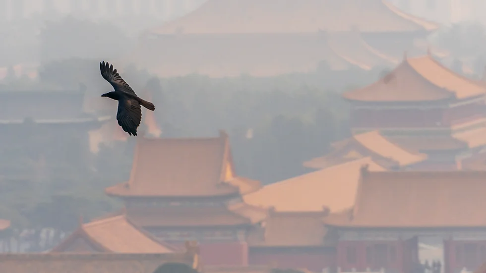 Den förbjudna staden i Peking, täckt av förorenad luft. Arkivbild.
