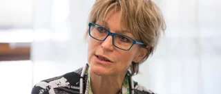 FN-utredaren tar över Amnesty International
