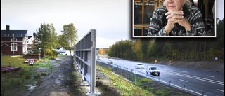 Grannens hästar får bullerplank – men inte hon: "Blir så trött av alla ljud"