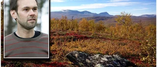 Planen: Fler naturreservat i Norrbotten – för att klara miljömålen: "Måste skydda skogen"