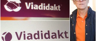 Äppelskruttet har gjort sitt – Viadidakt profilerar om sig: ”Är en käck idé”