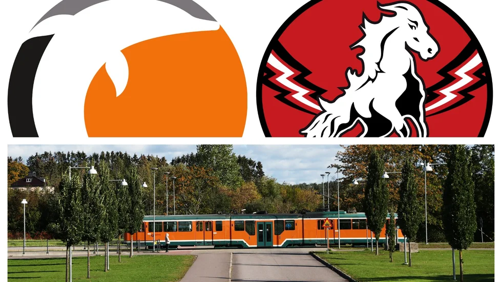 Dolphins och Vita Hästen är stadens två stora elitklubbar bakom IFK Norrköping.