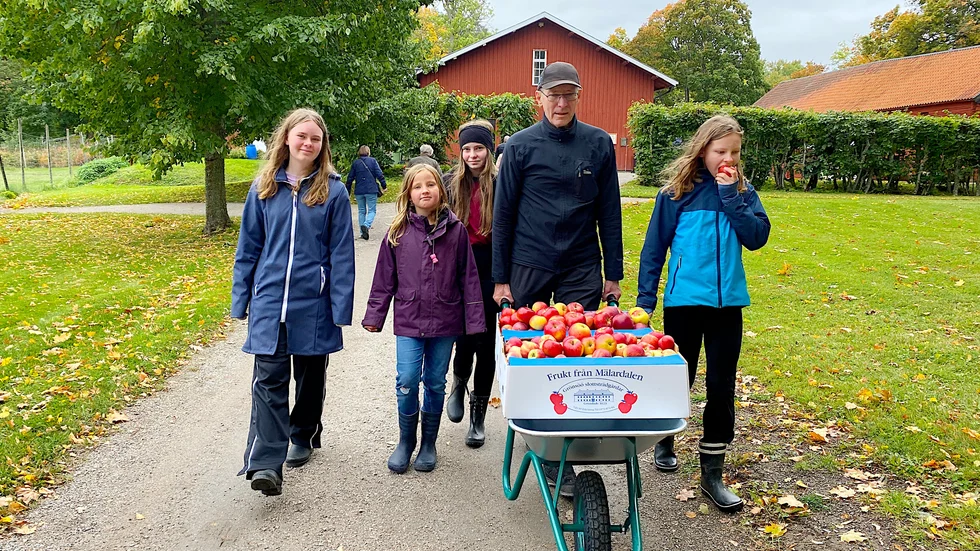 Björn Freyhult från Sollentuna tog med barnbarnen Hedvig, Nora, Tove och Klara från Uppsala till äppelmarknaden. Tjejerna hade lämpligt nog studiedag i skolan under fredagen.