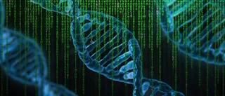 Vad vill Kina med vårt DNA?   