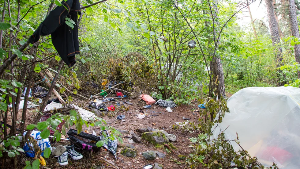 "Nedskräpning är ett allvarligt samhällsproblem. Skräpet skadar djur och natur, förstör haven, gör områden otrygga och kostar samhället mycket pengar – helt i onödan. Därför behöver vi stoppa nedskräpningen", skriver debattörerna.