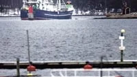 En fisketrålare grundstötte på söndagseftermiddagen i Blockholmshålet i Västervik på grund av lågvatten. Foto: ANDERS LILJEGREN