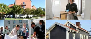 Gotland ”rödlistat” – Sofie undersöker öns hyresvärdar 