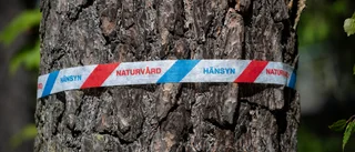 Mer pengar till naturvård och friluftsliv