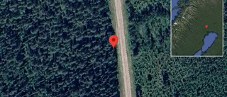 Trasig lastbil stör trafiken på väg 691