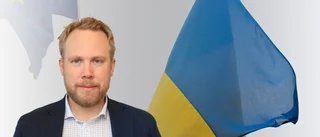 "Ukraina behöver mer stöd 2024"