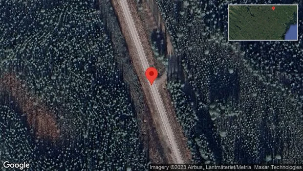 Viltolycka på väg 374