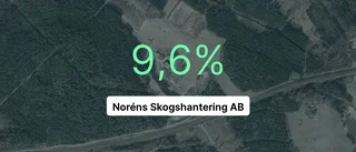 Årsredovisningen klar: Så gick det för Noréns Skogshantering AB