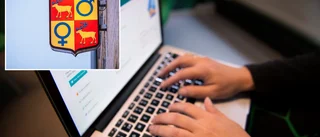 Avslöjandet: Handläggarna gick in fler journaler