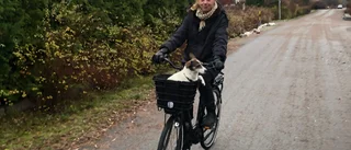 Cykelstölder vid Akademiska måste försvåras