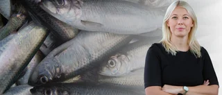 Ett förbud mot bottentrålning är det enda rimliga