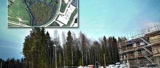 Bolaget som vill köpa hela det stekheta handelsområdet