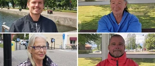 Vad tycker folk lokalt – kan Vadstena kallas stad?