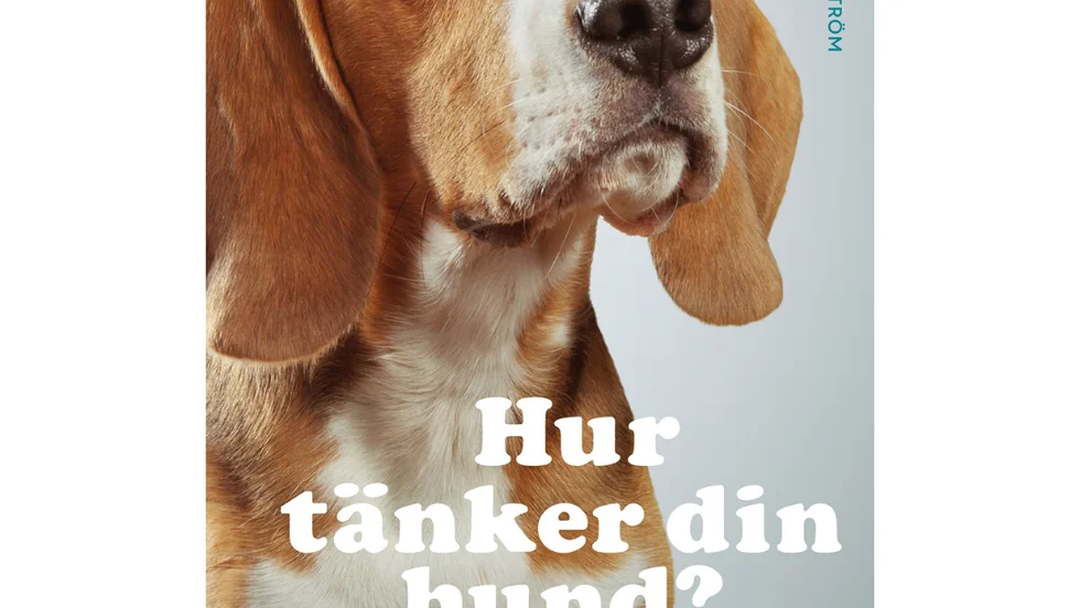 Hur tänker din hund?