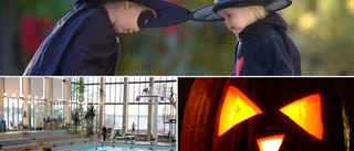 GUIDE: Ryslig sagostund, pyssel och spökjakt