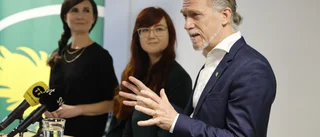 Rödgrönt samarbete har varit en katastrof för Miljöpartiet