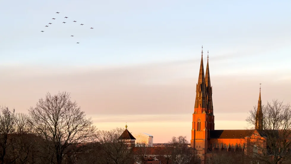 Här flyger granen över Uppsala. 