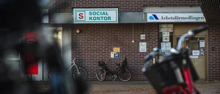 Arbetsrättsjuristen tycker synd om handläggarna