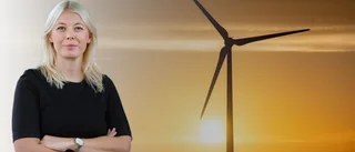 Få snurr på energipolitiken genom morötter