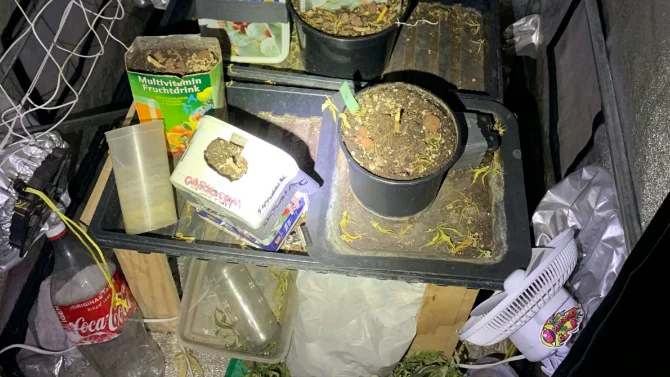 Så här såg det ut i 33-åringens garderob. I en påse nedanför odlingsbänken fann polisen 385 gram cannabis.