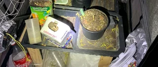 Knarkåtalad hävdar att hans cannabis var laglig