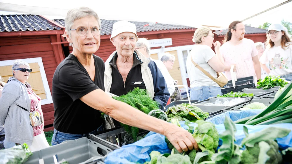 Elisabeth och Lars Wallmark köpte ekologiska grönsaker av Ekogården i Kräkånger, då de besökte skördemarknaden i Lövånger i lördags.