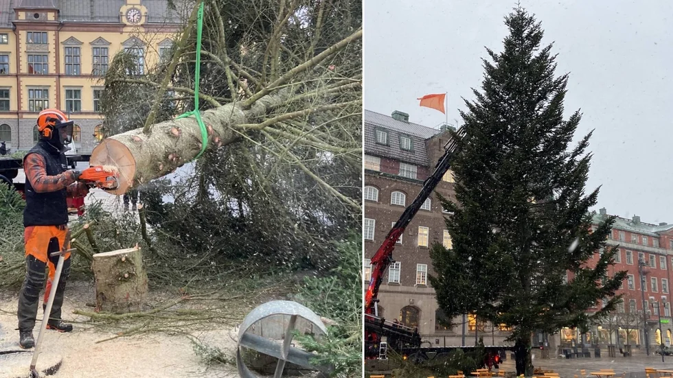 Nu är granen på plats på Fristadstorget.