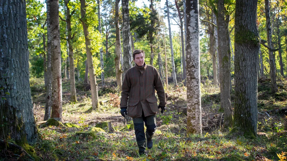 Skogen i Strandstuvikens naturreservat har blivit öppnare och ljusare när tusentals granar tagits bort: "De granar som håller på att forslas bort härifrån nu kommer alla till användning. De blir till virke, plankor, brännved, kläder och tidningspapper", säger David Lundevall, markförvaltare i Nyköpings kommun.