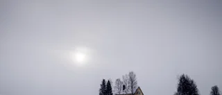 Olämpligt att kommunen gör reklam för fastighetsmäklare