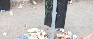 "Stora berg med sopor i Almedalen"