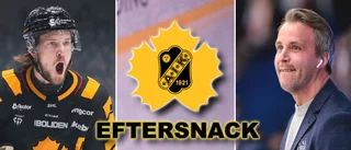 AIK-tränarens besked om Luke Witkowski – då kan han göra debut