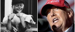 Busige Donald har blivit vår alldeles egna Emil i Lönneberga