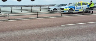 VIDEO: Här går kanadagåsen på Motalabron – skapade trafikkaos