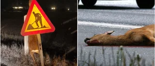 Bisarra upptäckten: "Det var som en skräckfilm"