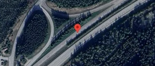 Trafikverket varnar för vildsvin på vägen på E18