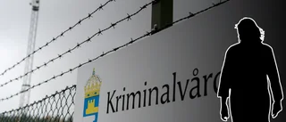 Kvinna körde dyngrak genom Hemse – med pistol i bilen 