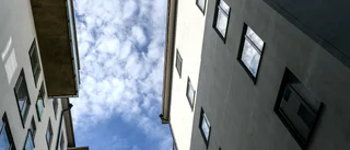 Över 100 hyresvärdar i Sverige struntar i mögel och ohyra