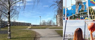 Satsningen: 13 miljoner kronor ska ge parken nytt liv