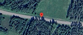 Varning för häst på vägen på väg 97