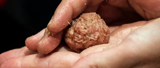 Veterinär till sjukhus – avlivning gick snett