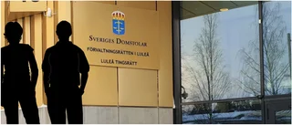 Två unga bodensare häktade efter polisinsats