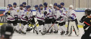 Spelarna som ska representera Gotland i TV-pucken