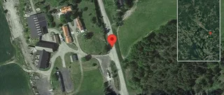 Personbil i krock med vildsvin – huvudsmärtor för föraren