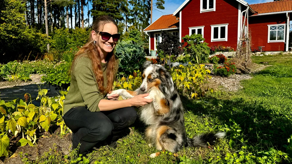 MaryAnn Fargo driver Oasen på åsen i Glindran tillsammans med maken Martin Johansson. Här ses hon med hunden Balthazar.