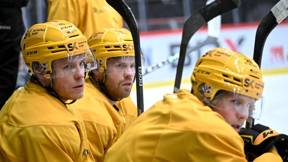 Rickard Hugg, Oscar Lindberg och Anton Heikkinen har alla gjort 13 mål i SHL den här säsongen, och förstakedjan är därmed i delad ledning i den interna skytteligan.