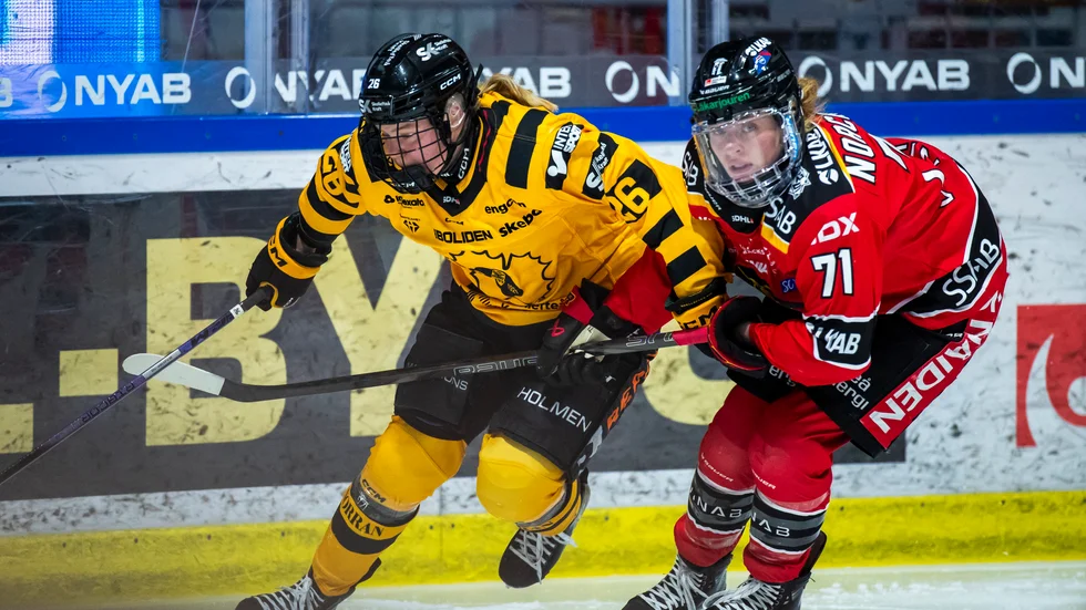 Luleå Hockey MSSK- Skellefteå AIK